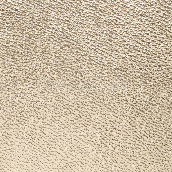 Golden color leather Stock photo © homydesign