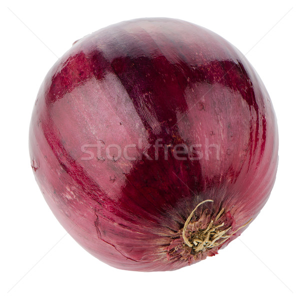 Red onion Stock photo © homydesign