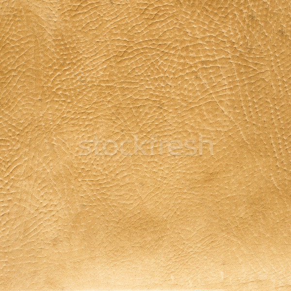 Yellow leather Stock photo © homydesign