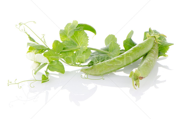 Frescos verde vaina blanco alimentos grupo Foto stock © homydesign