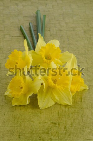 Jonquil flowers Stock photo © homydesign