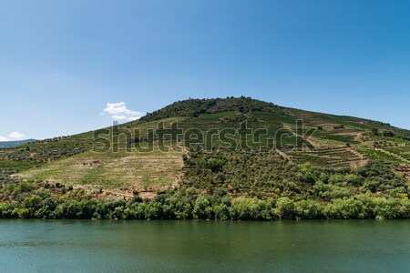 Vue vallée Portugal collines ciel eau Photo stock © homydesign