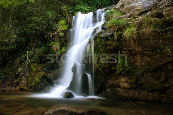 Cascade roches vert automne plantes cool [[stock_photo]] © homydesign