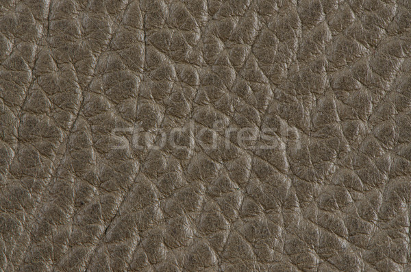 Leather background  Stock photo © homydesign