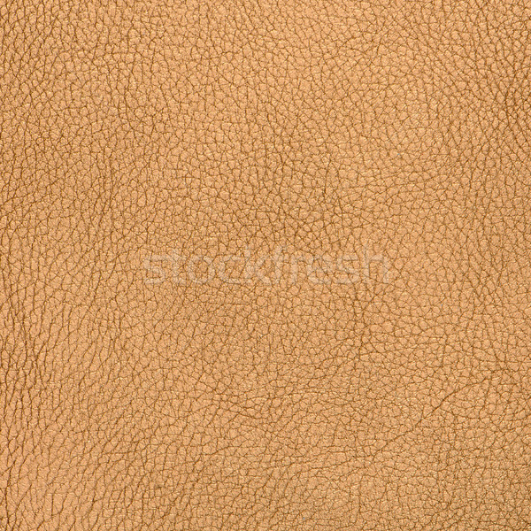 Golden color leather Stock photo © homydesign