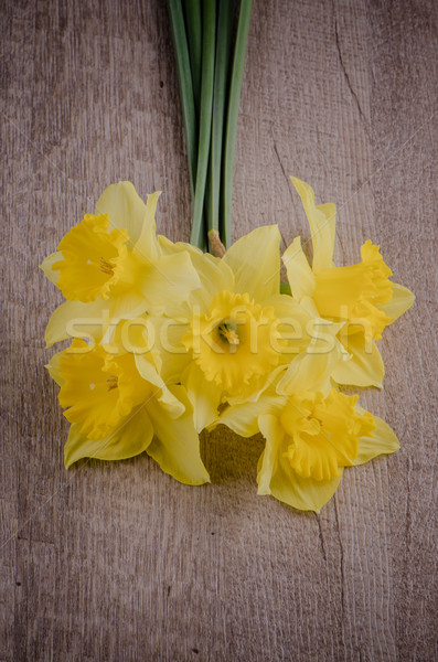 Jonquil flowers Stock photo © homydesign