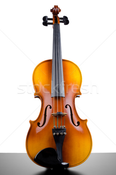 Violin Stock photo © homydesign