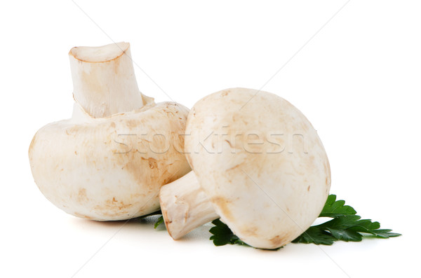 Pieczarka grzyby pietruszka pozostawia odizolowany biały Zdjęcia stock © homydesign