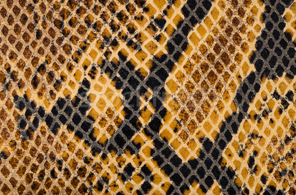 Serpiente piel cuero textura primer plano moda Foto stock © homydesign