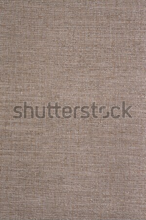 Wallpaper texture Stock photo © homydesign