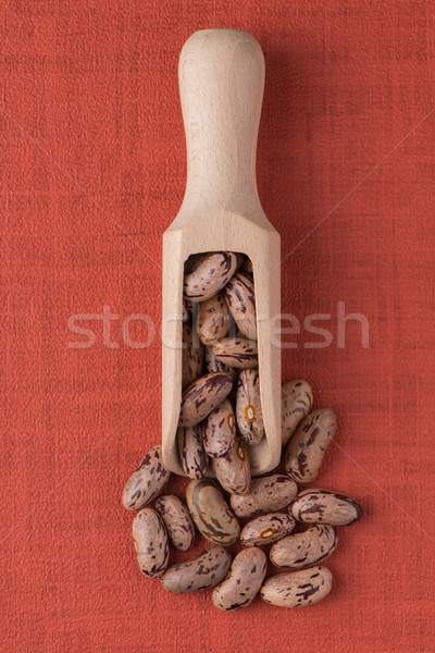 Wooden scoop with pinto beans Stock photo © homydesign