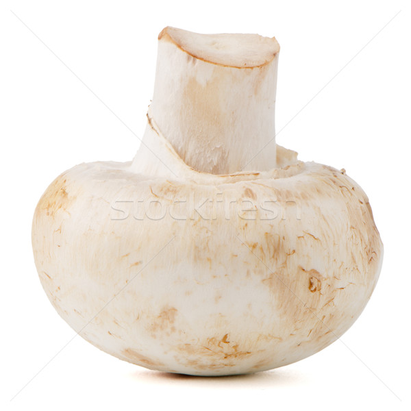 Champignon gomba izolált fehér étel természet Stock fotó © homydesign