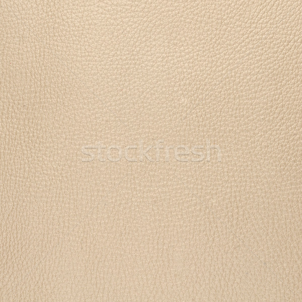 Beige leather Stock photo © homydesign