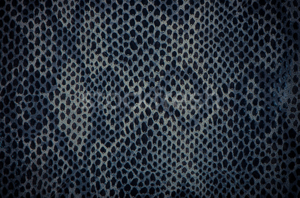 Azul pitón serpiente piel textura moda Foto stock © homydesign
