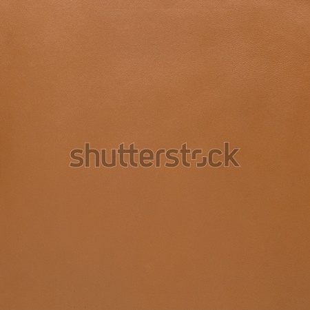 Сток-фото: коричневый · кожа · текстуры · аннотация · корова