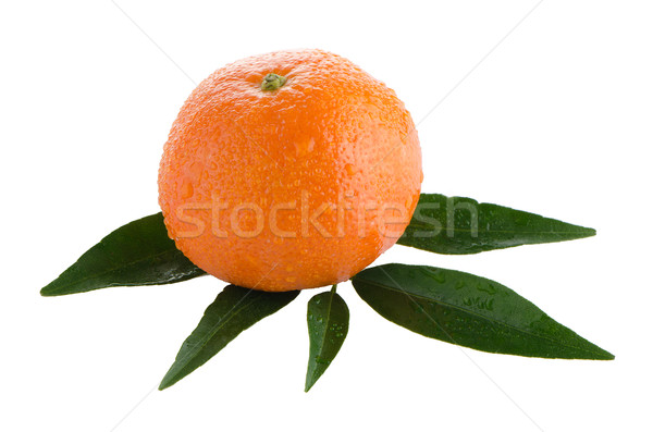 Fresh orange mandarin Stock photo © homydesign