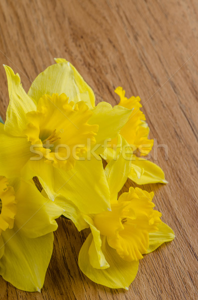 Jonquil flowers Stock photo © homydesign