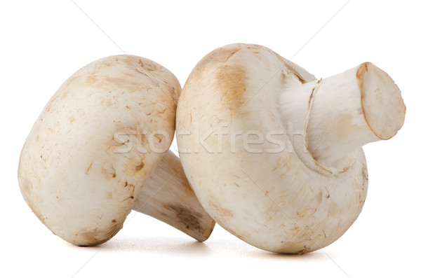 Champignon gombák fehér háttér zöld szín Stock fotó © homydesign