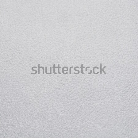 White leather texture Stock photo © homydesign