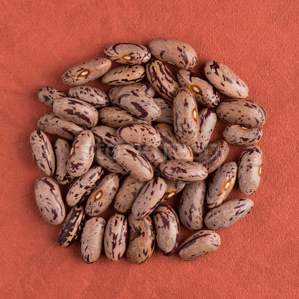 Circle of pinto beans Stock photo © homydesign
