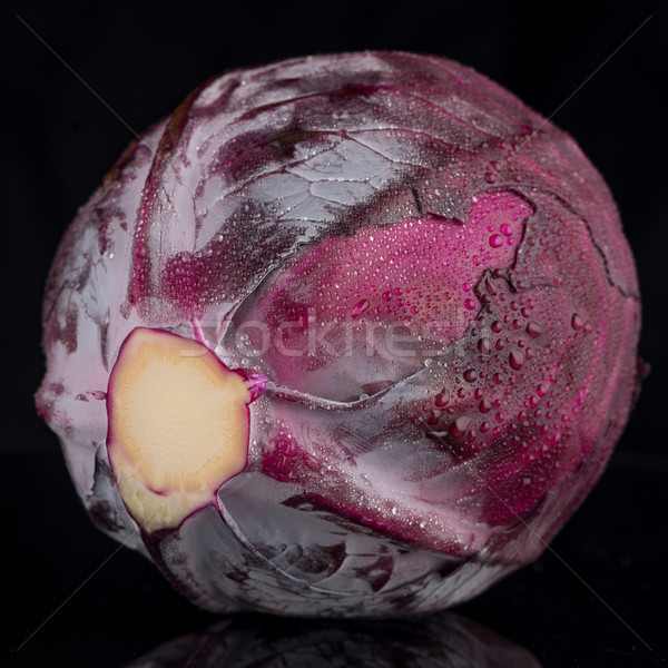 紅色 捲心菜 黑色 新鮮 孔 紫色 商業照片 © homydesign