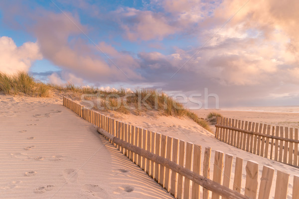 Dűne kerítés tengerpart naplemente víz fű Stock fotó © homydesign
