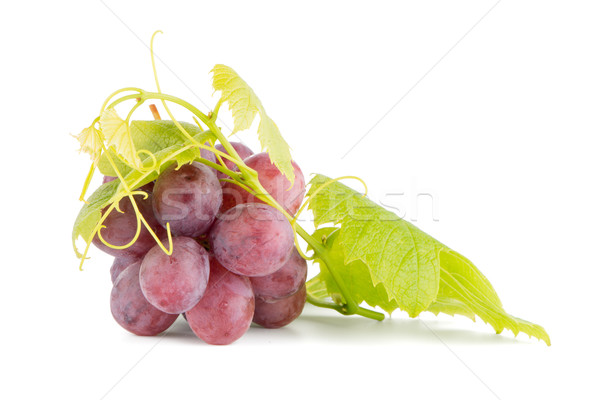 Red grape Stock photo © homydesign