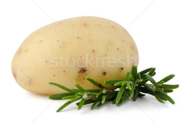 Neue Kartoffel grünen Petersilie isoliert weiß Stock foto © homydesign