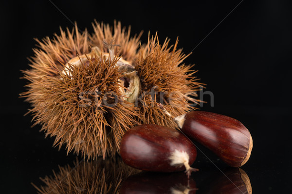 Chestnuts on a black reflective background Stock photo © homydesign