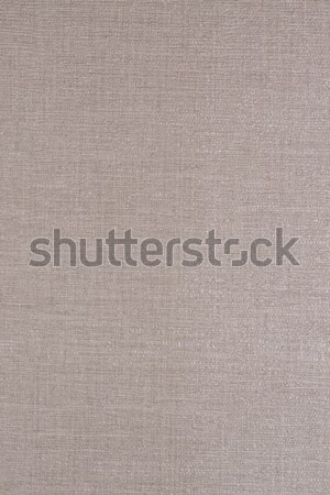 Wallpaper texture Stock photo © homydesign