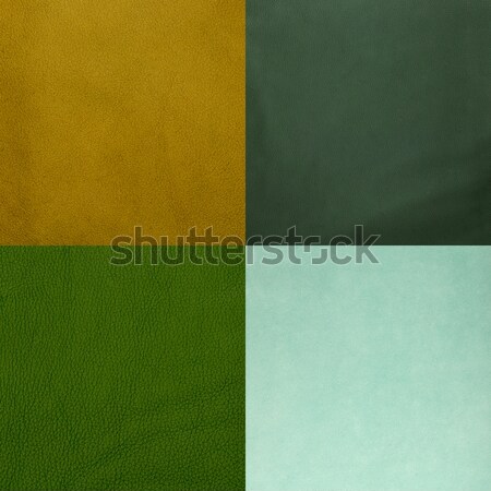 Establecer verde vinilo textura pared Foto stock © homydesign
