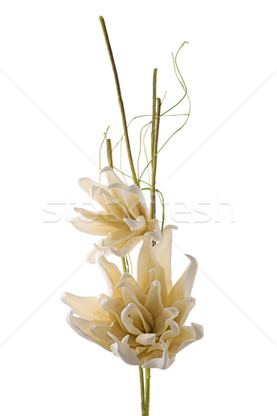 Kunstmatig bloem witte bloemen geïsoleerd bruiloft Stockfoto © homydesign