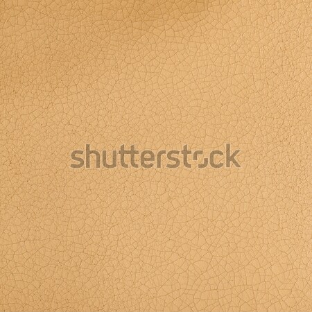 Beije leather Stock photo © homydesign