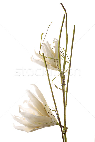 Stockfoto: Kunstmatig · bloem · witte · bloemen · geïsoleerd · bruiloft