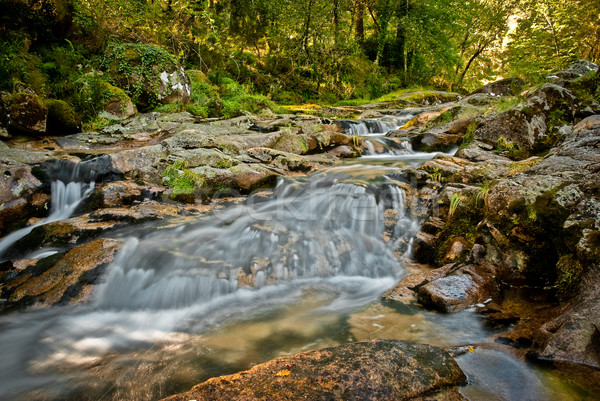 River stream in Portugal Stock photo © homydesign