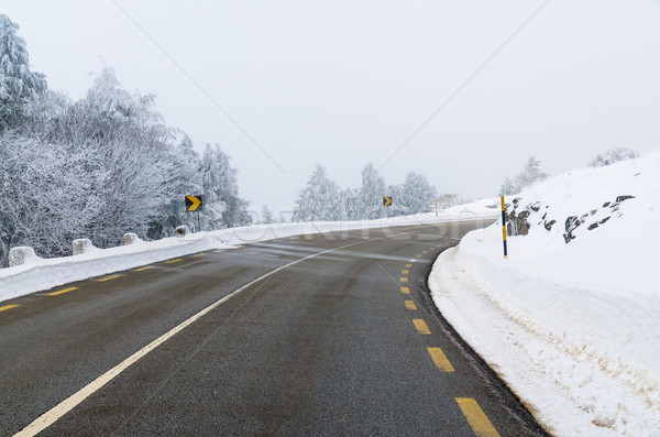 Stock photo: Snowy Road