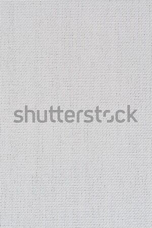 White fabric texture Stock photo © homydesign