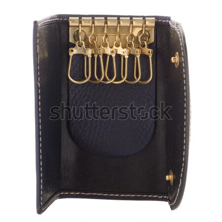 Blue leather purse  Stock photo © homydesign