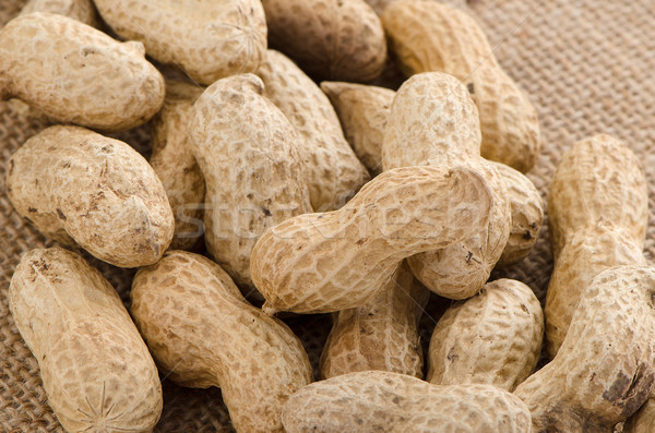 Peanuts Stock photo © homydesign