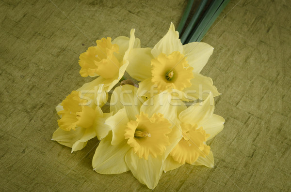 Jonquil flowers Stock photo © homydesign