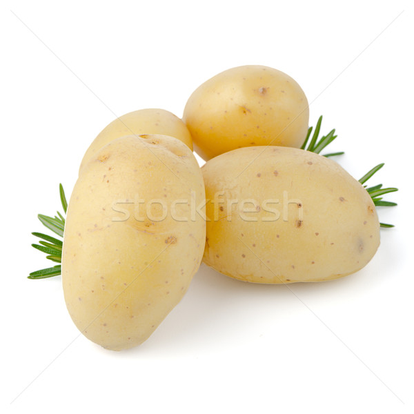 Nowego ziemniaki zielone zioła odizolowany biały Zdjęcia stock © homydesign