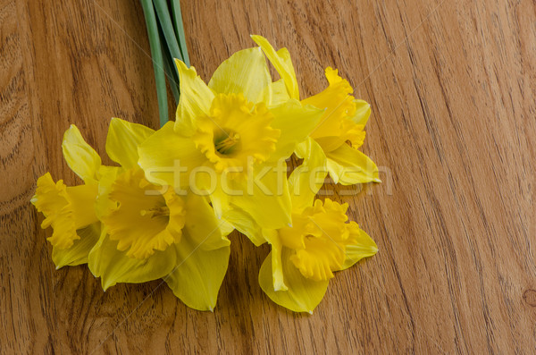 Jonquil flowers Stock photo © homydesign