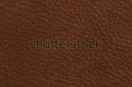коричневый кожа текстуры подробный моде Сток-фото © homydesign