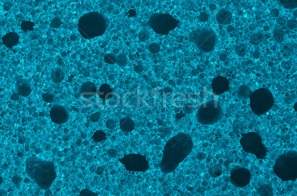 Esponja pormenor azul textura bar grupo Foto stock © homydesign