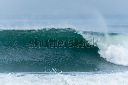 Atlantic waves in Portugal Stock photo © homydesign