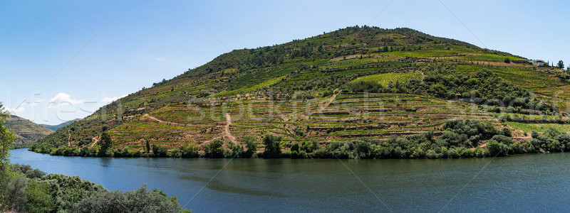 Stock photo: Point of view shot of terraced vineyards in Douro Valley