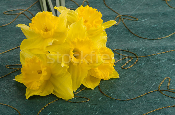 Jonquil flowers Stock photo © homydesign