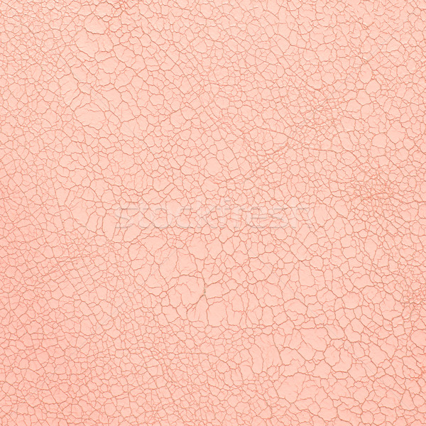 Pink leather texture Stock photo © homydesign