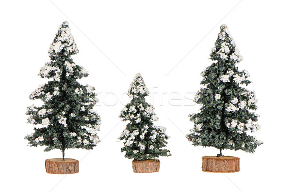 Miniature pine trees Stock photo © homydesign