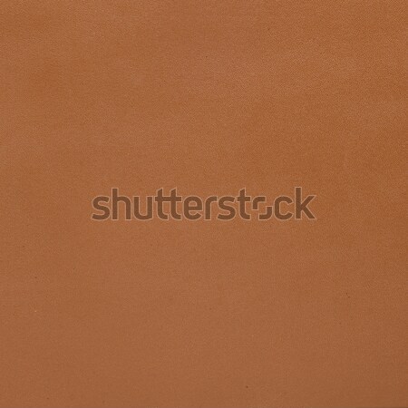 Natural brown leather Stock photo © homydesign